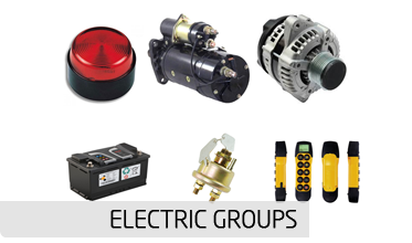 ELECTRIC GROUPS