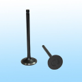 Volvo - Intake and Exhaust Valve